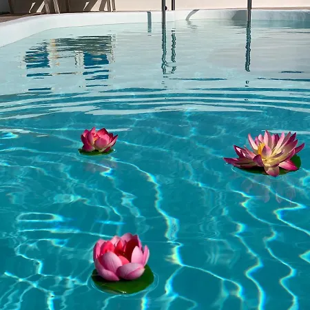 Pico Partido Heated Pool * Tinguaton