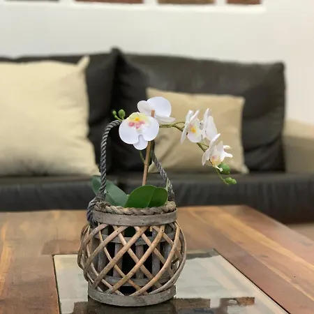 Pico Partido Heated Pool *